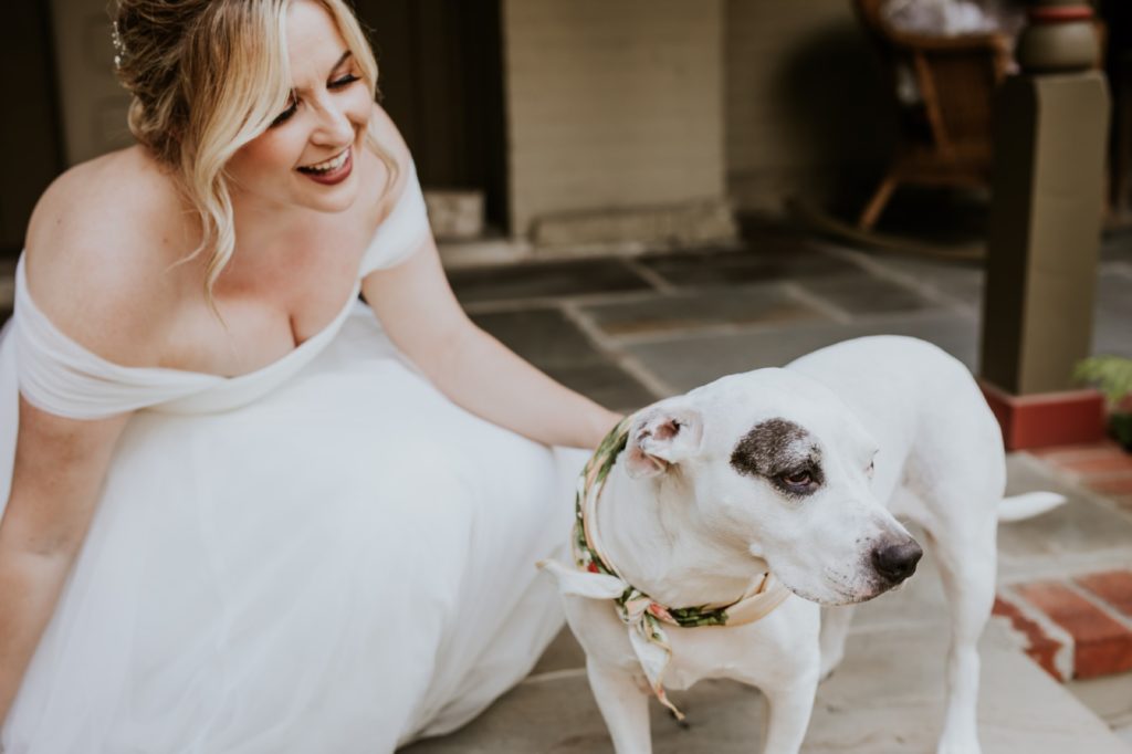 bride in dress pets dog on lockerbie street before her IMA wedding