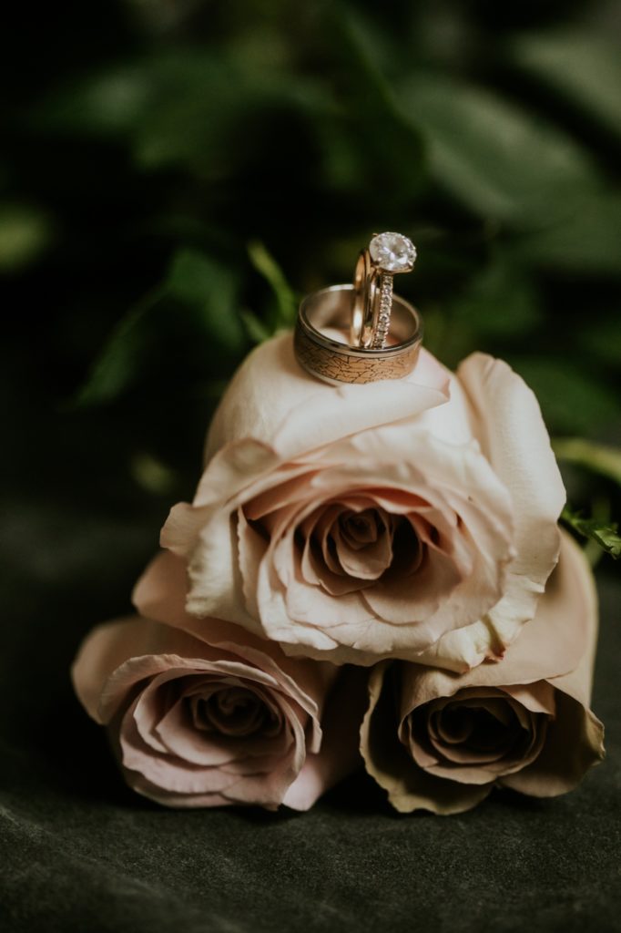 wedding rings and engagement rings on top of roses at mustard seed gardens for Noblesville Wedding Photography