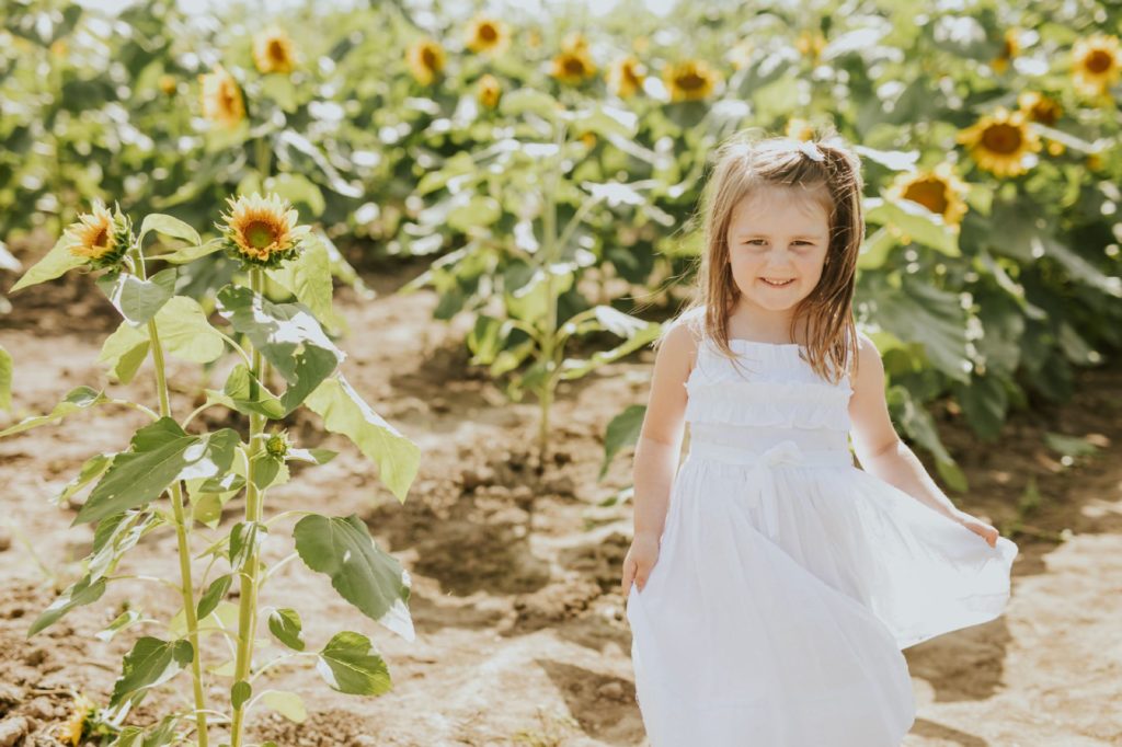a young girl in a white dress twirls in a sunflower field in this indianapolis family photography session