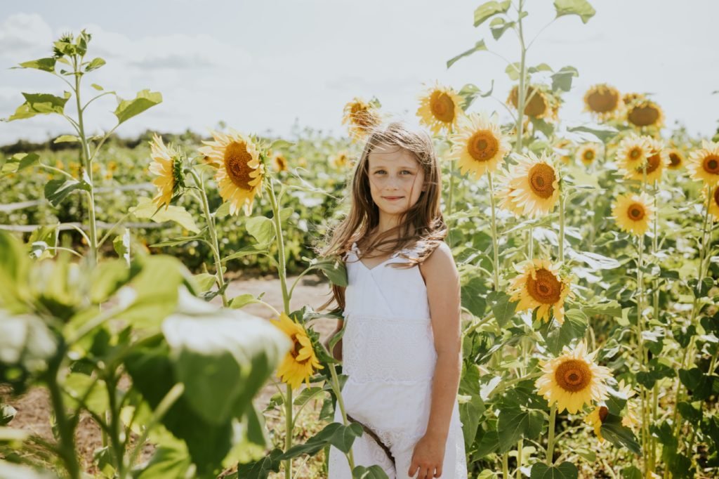 a young girl in a white dress stands surrounded by sunflowers in this Tuttle Orchards Family Photo session