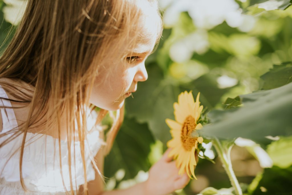 a toddler sniffs a sunflower in this fishers family photo session