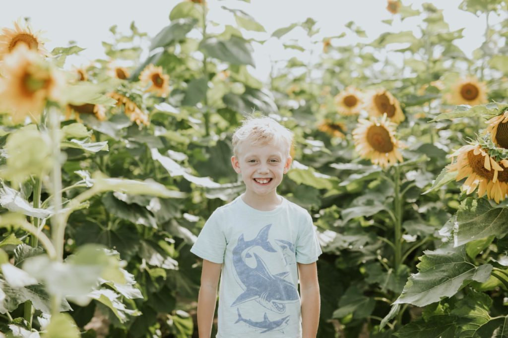 blonde boy in shark shirt smiles at camera while surrounded by yellow flowers