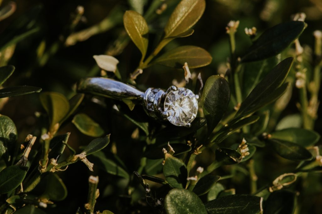 engagement ring in bush during butler university portraits