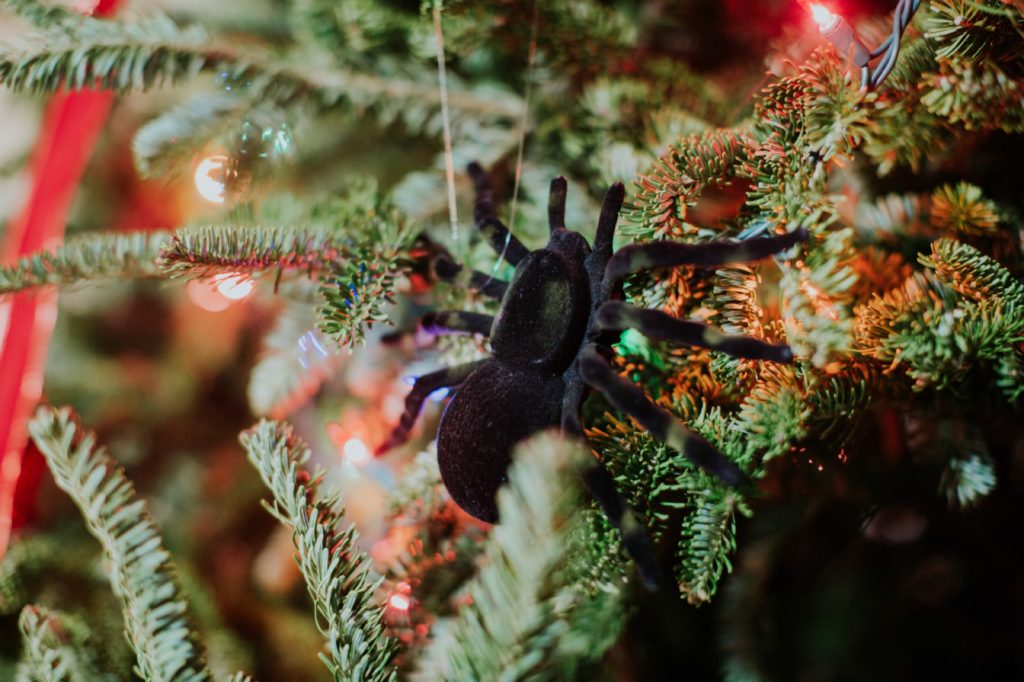 spider in a christmas tree