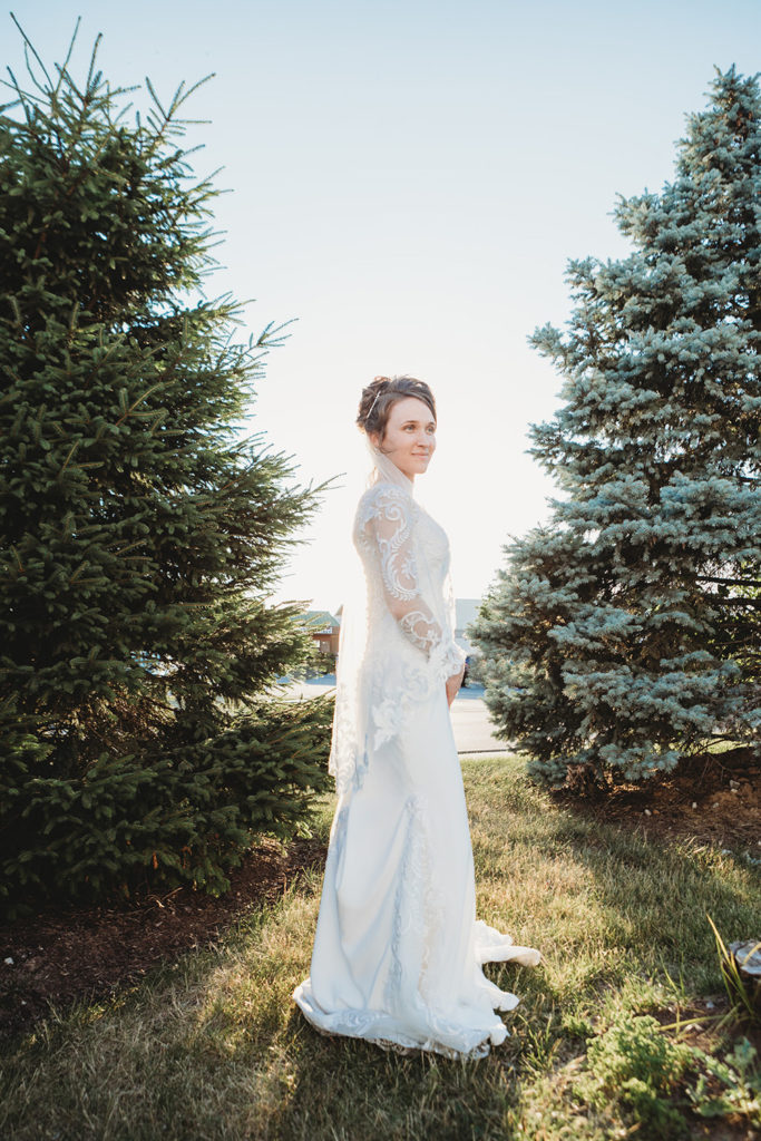 bride standing between two evergreens at sunset