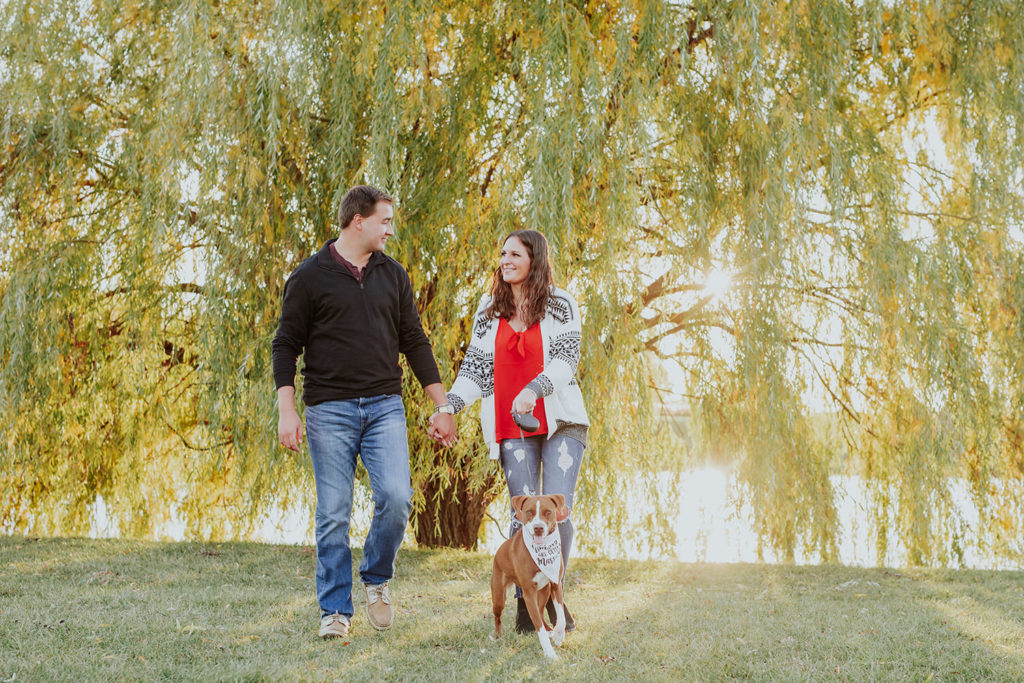man and woman walk dog away from weeping willow tree at their coxhall gardens engagement session