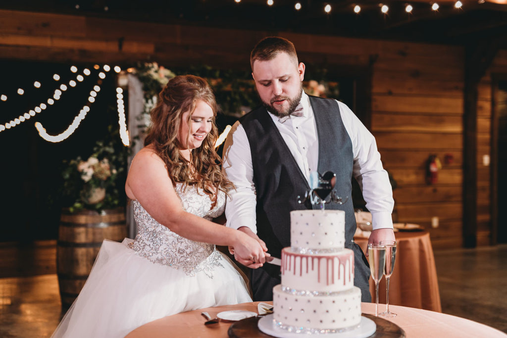 bride and groom cut cake at a 3 Fat Labs wedding