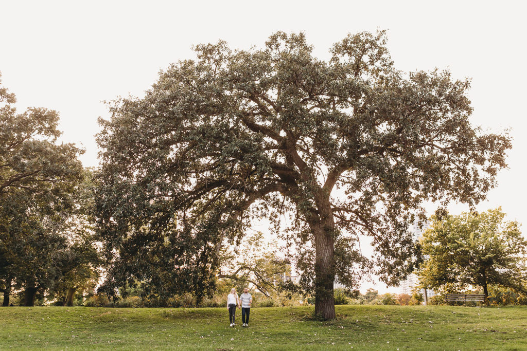 couple walk down hill under large tree during Lincoln Park engagement photos