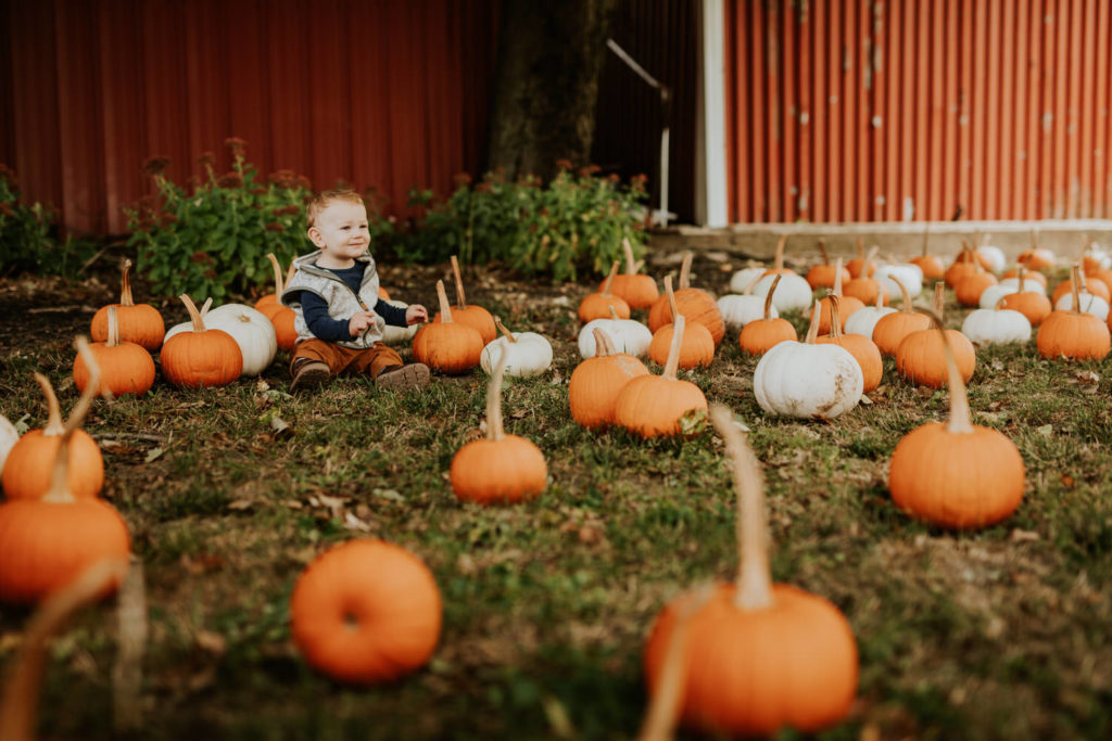 baby in field of picked pumpkins during their Russell Farms Family Photos