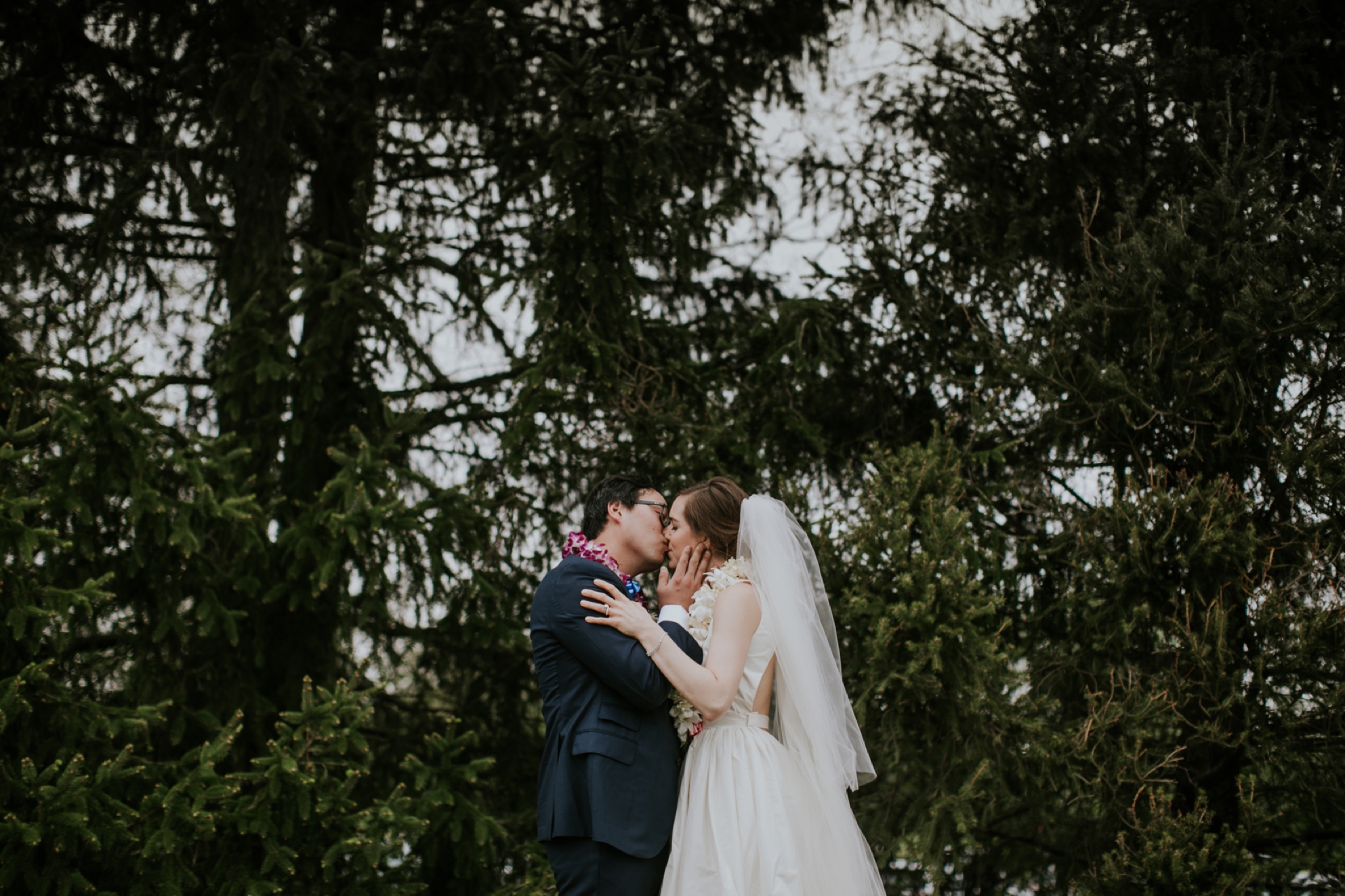 a groom with a lei kisses a bride in front of the boughs of an evergreen tree