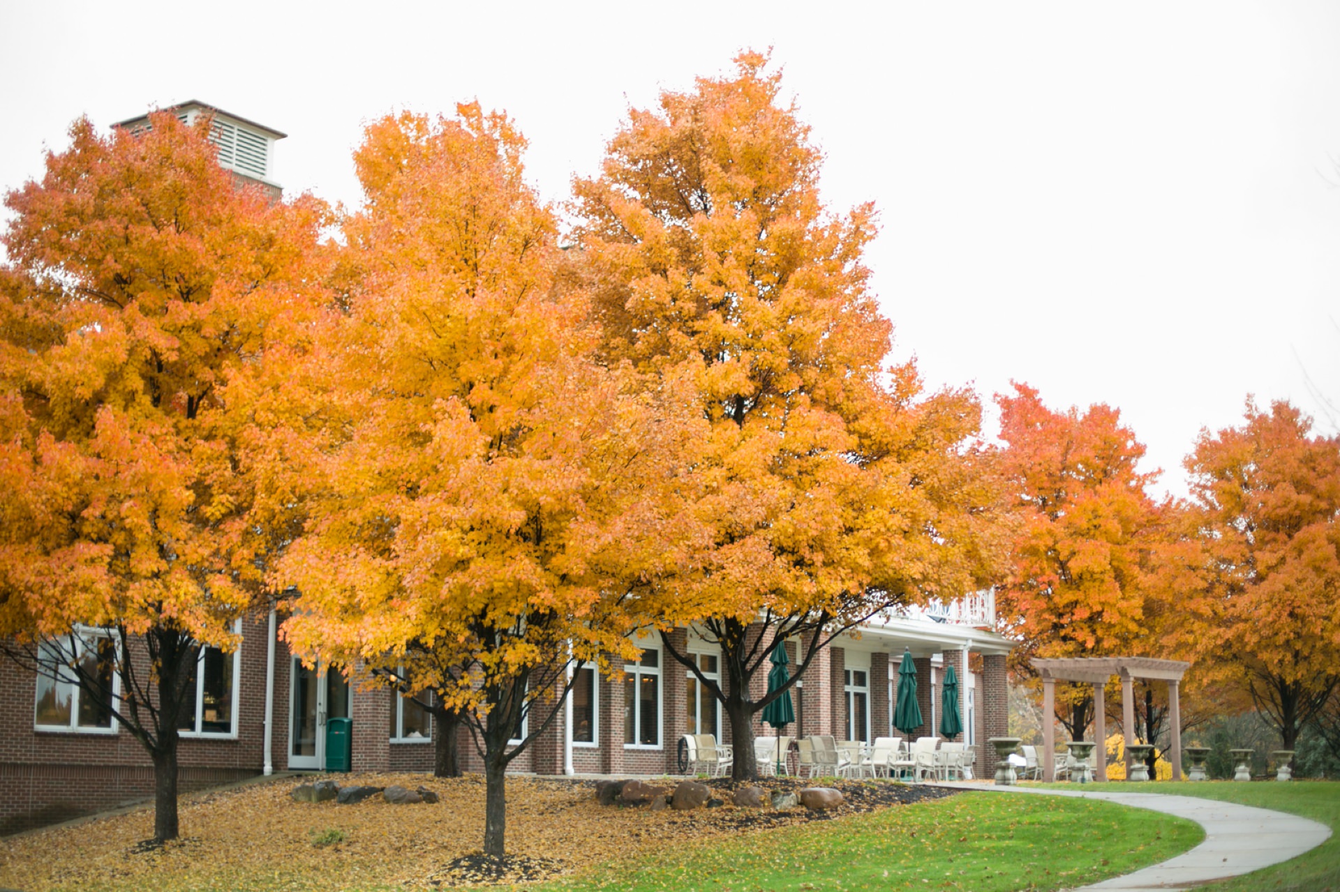 trees with orange leaves surround the broadmoor country club for this Indianapolis Event Venue Photography