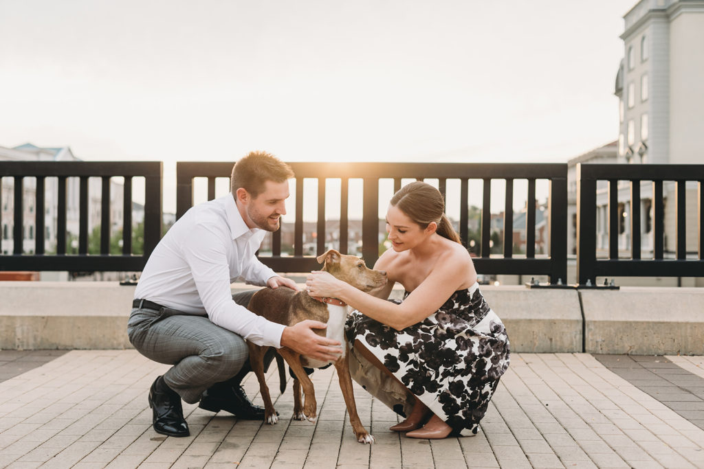 a man and woman bend down to pet their dog during their Carmel City Center engagement session